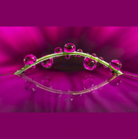 Inside the Lens Episode 3: Colour Science with Ray Maxwell