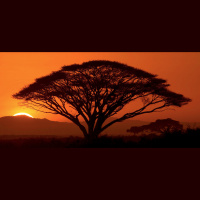 Inside the Lens – Rick Sammon and Photo Therapy