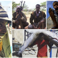 Эпичность криптовалют в джунглях