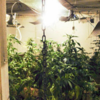 Грузия стала Голландией. Теперь можно почти все