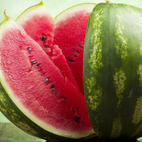 Хвостатый полосатый. Выбираем арбуз