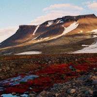 На Земле Франца-Иосифа и Новой Земле появятся научно-туристические базы