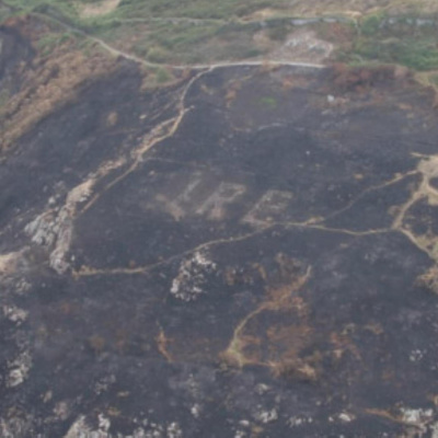 Neradio. ??????????? - ???????? ??????????