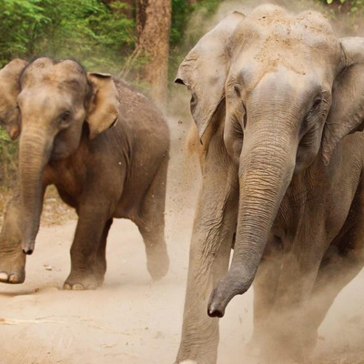 Neradio. ??????????? - ???????? ??????????