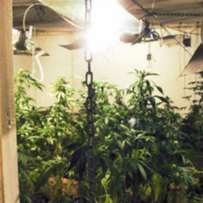 Neradio. ??????????? - ???????? ??????????