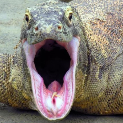 Neradio. ??????????? - ???????? ??????????