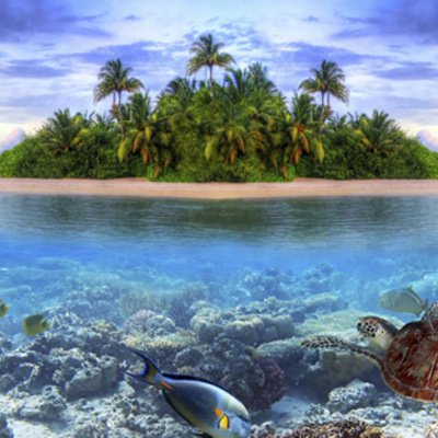 Neradio. ??????????? - ???????? ??????????