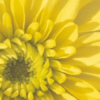 160. What Role Does Wonder Play In Your Spirituality?