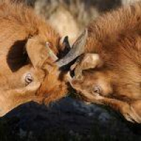 153. How Do You Deal With Conflict In Your Craft?