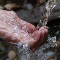 179. 4 Steps To Renovate Your Body