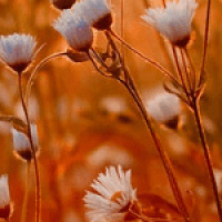 148. What Role Does Integrity Play In Your Spirituality?