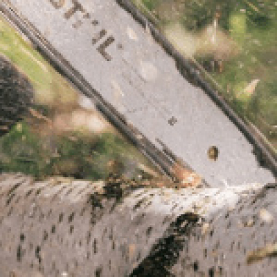 More To Life With Faith And Lois