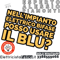 #72 Nellimpianto elettrico bifase posso usare il blu?
