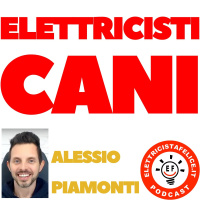 167 Elettricisti cani