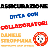 188 Tutto sullAssicurazione Ditta con Collaboratori Esterni