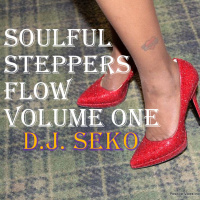 Soulful Steppers Flow #001