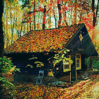 LA GUARIDA: Capítulo 1