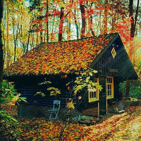 La Guarida - Capítulo 4 - Homeopatía y Reiki