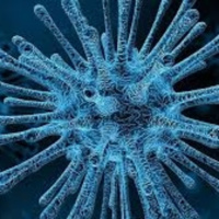 S3E17: Grandes epidemias provocadas por virus