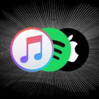 Before After the Fact #71 - Digital Losses