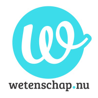 Dick den Hertog: wiskunde biedt oplossingen voor praktische problemen