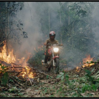 The Territory: Alex Pritz in conversation with Jenny Ash