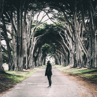 To Begin Again: The Emotional challenges in starting a new business and/or achieving new goals. 