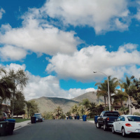 Shelter- In Time!!! w.t.f’s !! Survive and thrive mode! How we doin?!