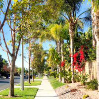 How to handle stressful situations with other people! #awareness practices 