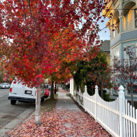 What had happened was…Recap 2022! Part I