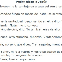 Lucas 22:54-62 Pedro niega a Jesús - Ruby Sáez Montoya