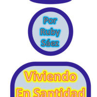 0293 - Varón perfecto. 2° parte - Ruby Sáez Montoya