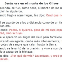 Lucas 22:39-46 Jesús ora en Getsemaní - Ruby Sáez Montoya
