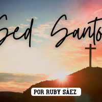 0317 - Santidad en el hogar. 2° parte. Padres e hijos - Ruby Sáez Montoya