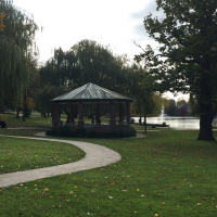 GG ( Brightbeautifulworld unofficial interview )