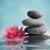 T3 Capítulo XI - Libros de autoayuda y superación