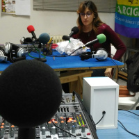 Capítulo VII - Propósitos de Año Nuevo