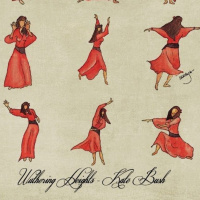 Cruce de caminos - Kate Bush y Cumbres borrascosas