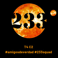 T4 C2 - #amigosdeverdad #233squad