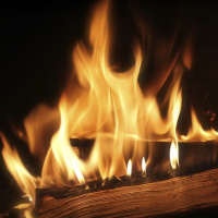 Capítulo VI - Me lo pido