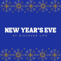 New Years Eve at Discover Life