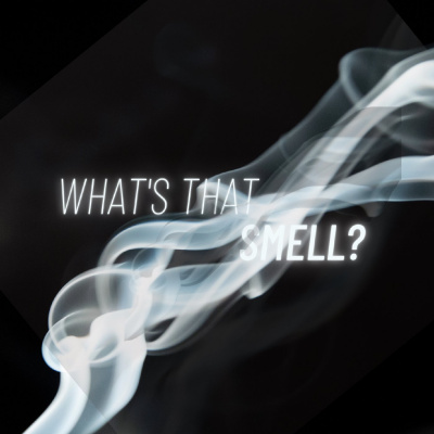 Discover Life Church