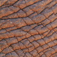 Beautyline-tuotteet.