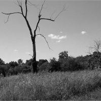 RAF267: Clarity and Determination