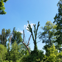 RAF168: Living to 100 - Nabi Tajima