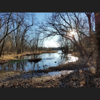 RAF117: Thermogenics and Fat Burners