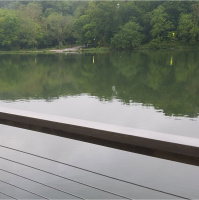 RAF208: Update in the COVID-19 Era