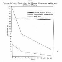 RAF175: 5 Health Benefits of House Plants