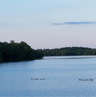 RAF178: Gym Etiquette