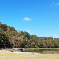 RAF198: 5 Environmental Factors of Longevity